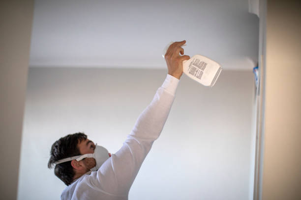 Best Black Mold Removal  in Summit, NJ