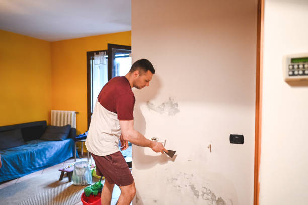 Best Mold Damage Repair  in Summit, NJ